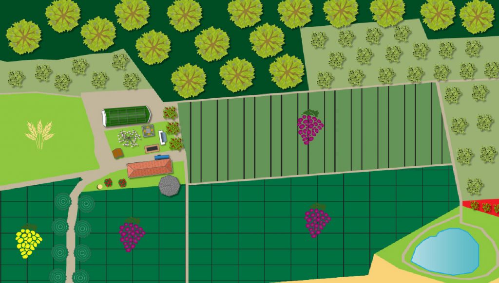 MAPPA Azienda Agricola Mapei